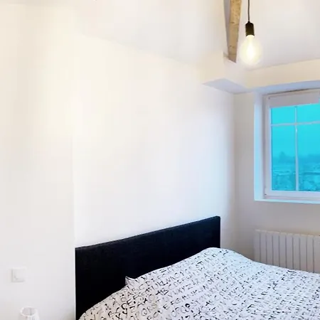 Duplex Standing Centre - Vue Pont - Bassin Apartment *